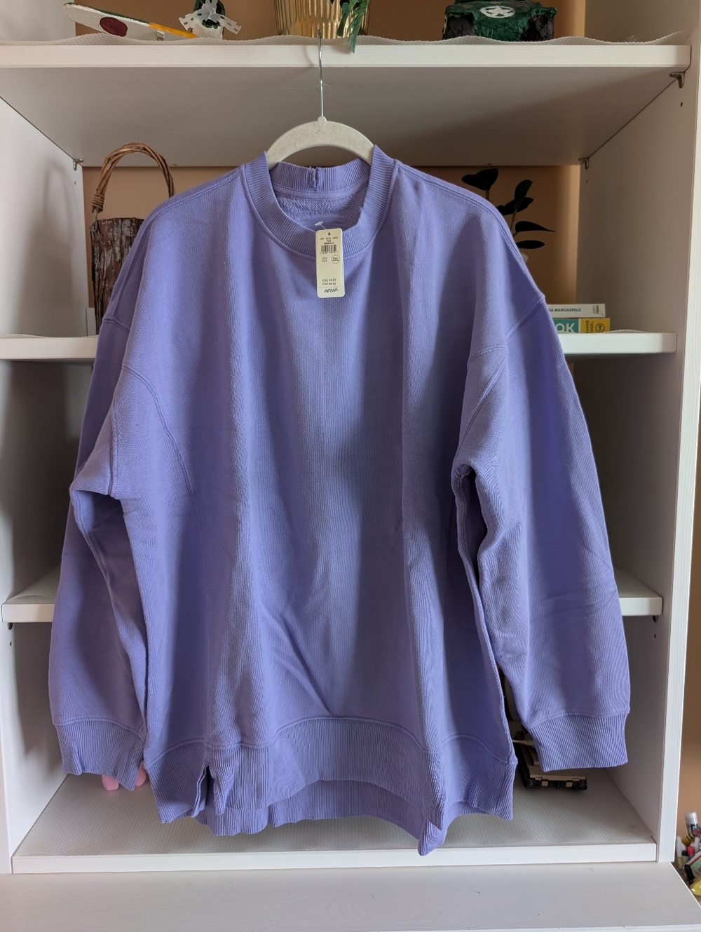 Aerie The Chill Crew Sweatshirt
